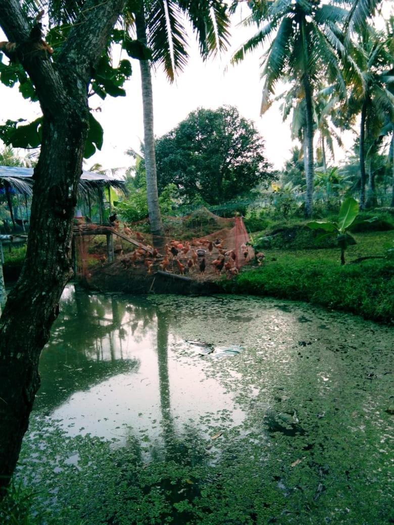 Thomman'S Farm Stay Kottayam Esterno foto