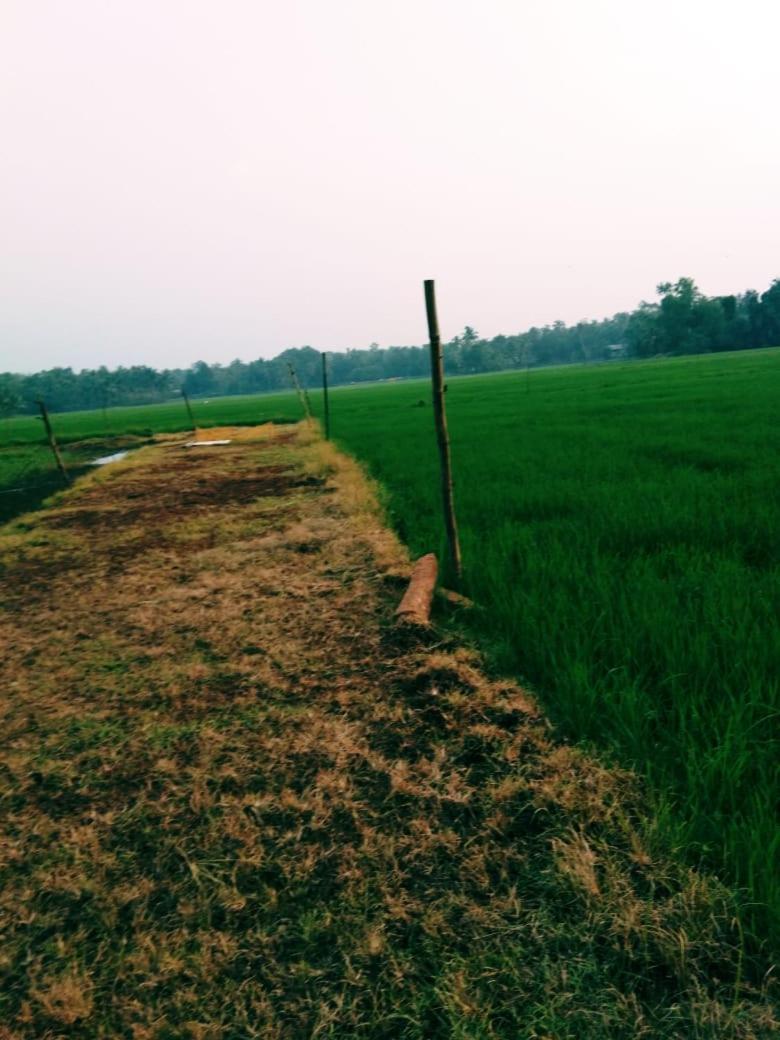 Thomman'S Farm Stay Kottayam Esterno foto