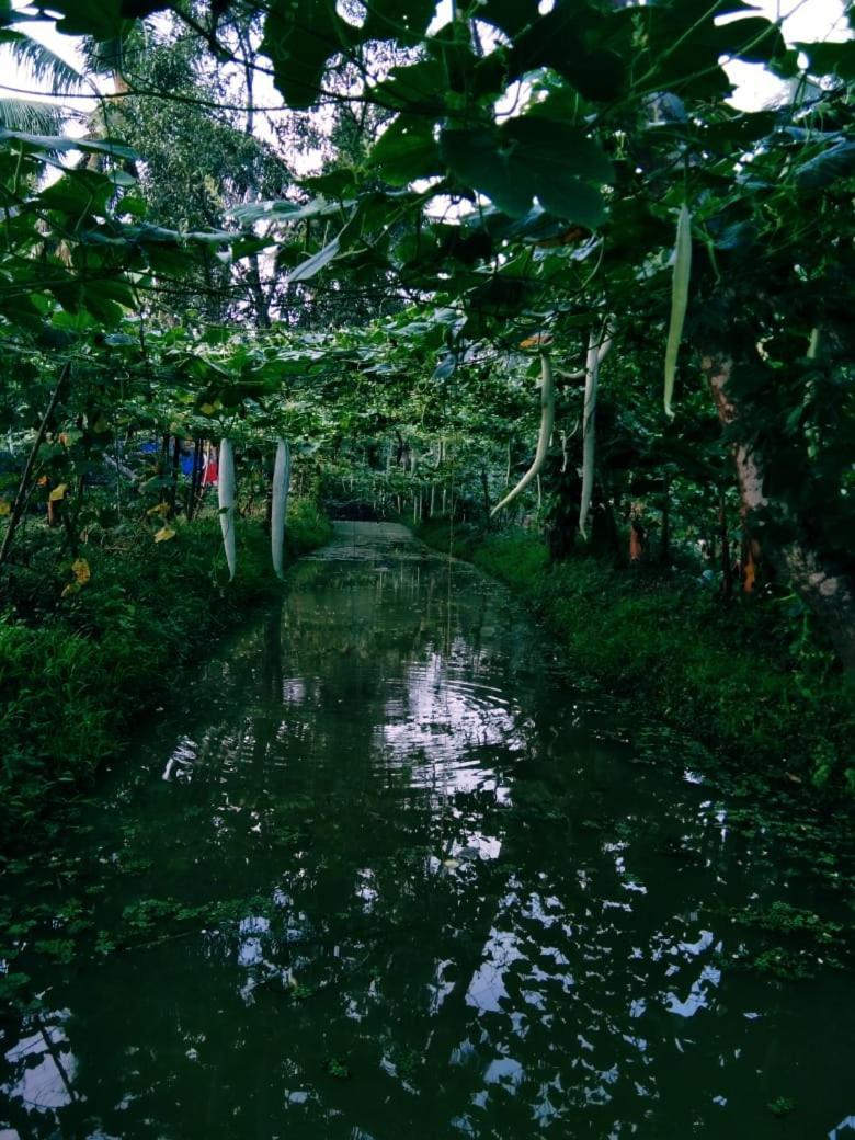 Thomman'S Farm Stay Kottayam Esterno foto