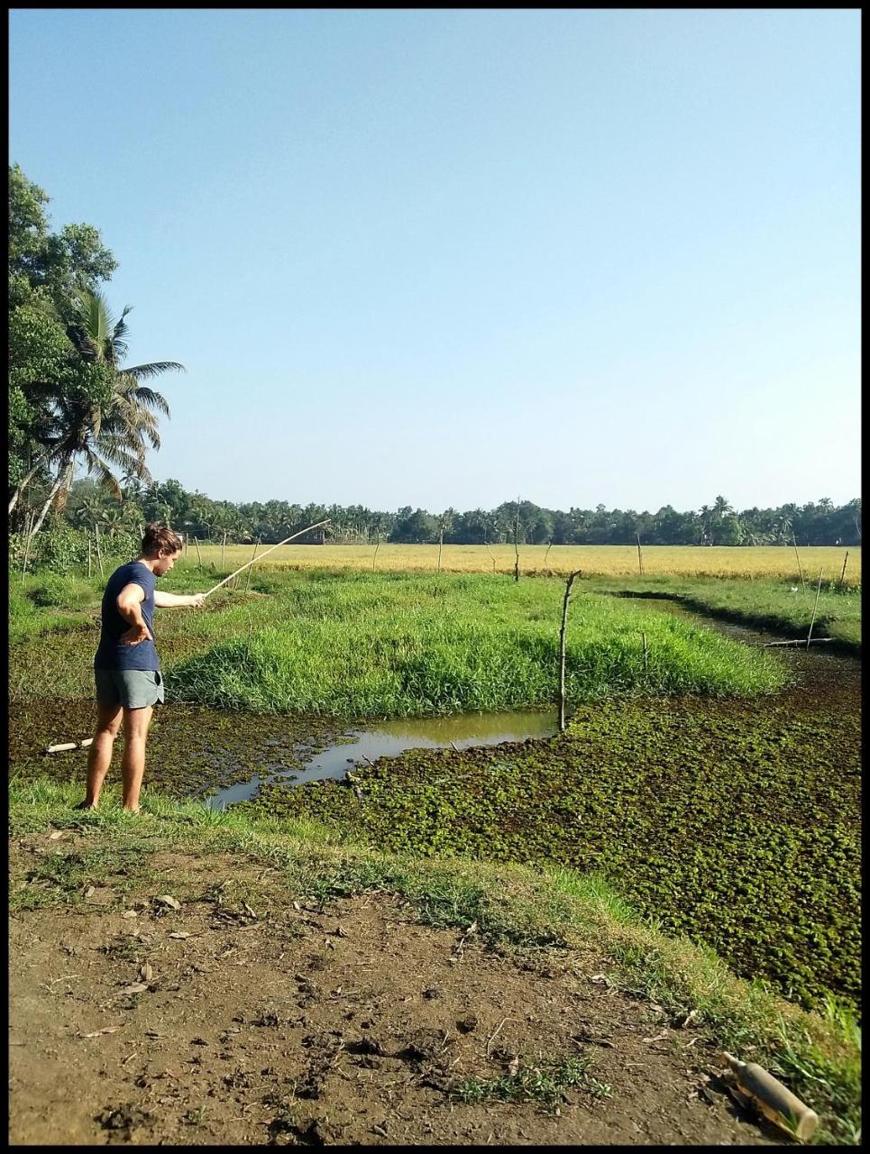 Thomman'S Farm Stay Kottayam Esterno foto