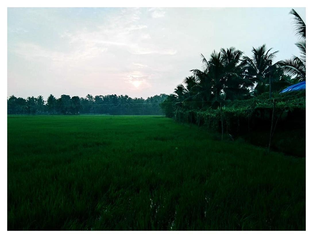 Thomman'S Farm Stay Kottayam Esterno foto